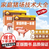 养猪技术书大全2册 饲料配制 仔猪母猪养殖技术养猪书籍 高效养猪技术书籍大全 猪病诊治图谱 猪病快速诊断与防治 猪病用