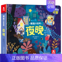 [正版]揭秘小世界第二辑 夜晚 0-3岁低幼宝宝情景体验认知艺术绘本 洞洞翻翻立体趣味知识科普 早教启蒙认知互动式问答精