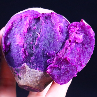 鲜贝达 紫薯红薯5斤装地瓜