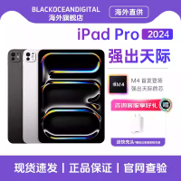 苹果 Apple 2024款 iPad Pro 11英寸 2TB WIFI版 苹果平板电脑 白色 资源机国际版