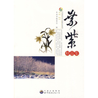 正版新书]中国现代文学大师精品集:叶紫精品集(修订版)本从书