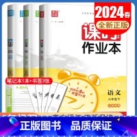 [六年级下]语数英3本套装江苏专用 六年级下 [正版]2024秋小学课时作业本一二三四五六年级上册下册语文数学英语科学人