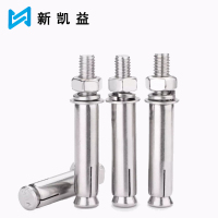 新凯益 304不锈钢膨胀螺丝螺栓 M14*120 个