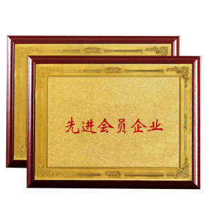 振之宏 奖牌 35*50cm 块