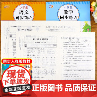 2021新版 全套共4册二年级上册语文数学同步练习册试卷课堂练习册人教版小学2年级语文数学书课时作业本课时练二年级上册同