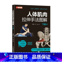 [正版]人体肌肉拉伸手法图解 下肢 改善运动功能障碍的物理拉伸手法 拉伸技术