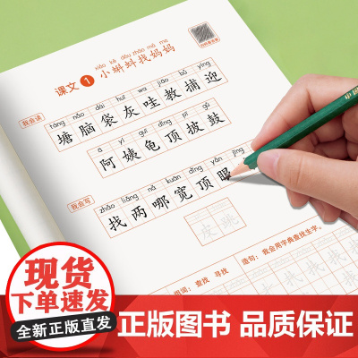 2025 二年级上册练字帖 人教版小学语文课本教材同步字帖下册每日一练上册小学生寒衔接带笔顺笔画2上学期练习册一二类字贴