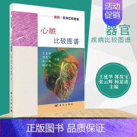 [正版]心脏比较图谱 王廷华 心血管病学 医学图谱 人体解剖学 医学或者动物学科研人员参考 临床学 医学类 科学出版社