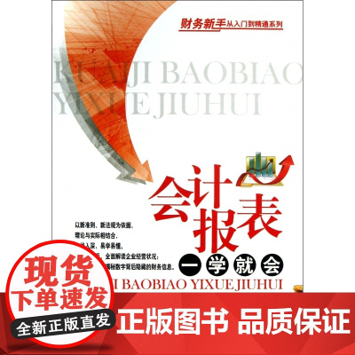 会计报表一学就会/财务新手从入门到精通系列