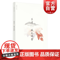 城北地带 苏童作品系列 新版 中国当代文学重量级佳作 茅盾文学奖得主苏童经典作品 上海文艺出版社