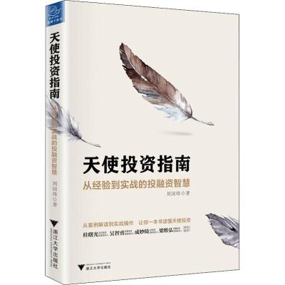 天使投资指南:从经验到实战的投融资智慧