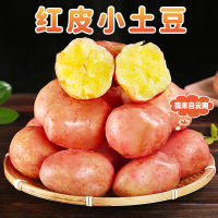 [西沛生鲜]云南红皮小土豆 净重8.5斤装 大果 单果100g+ 新鲜蔬菜 农家种植