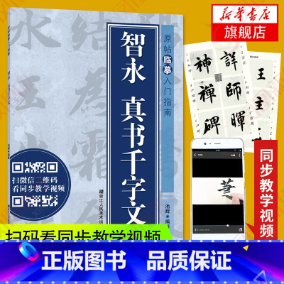 [正版]智永 真书千字文 原帖临摹入门指南 楷书字帖笔画基础结构解析 浙江人民美术 凤凰书店书籍