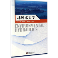 音像环境水力学王玉敏,高海鹰,朱光灿 编著