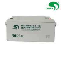 赛特蓄电池BT-HSE-65-12 (12V65AH)/块