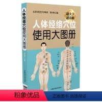 [正版]人体经络穴位使用大图册 中国医药科技出版社 郭长青 体经络穴位图解书人体经络穴位标准大图册全身穴位图文定位美体