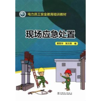 音像现场应急处置黄晋华,陈文英编