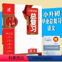 [正版]小学毕业总复习语文第3版河北教育出版社小升初小考复习辅导资料书知识清单专项突破小升初模拟测试欣鹰图书六年磨一剑
