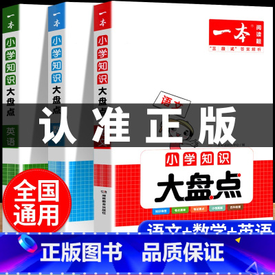 人手一套[语文+数学+英语]知识大盘点 小学通用 [正版]2025版小学知识大盘点 语文数学英语核心知识集锦人教版基础知