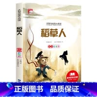 稻草人 [正版]太阳鸟经典大阅读全系列彩图注音版安徒生童话四大名著儿童文学书