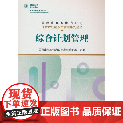 国网山东省电力公司综合计划与投资管理系列丛书 综合计划管理