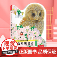 亮丽精美触摸书小猫头鹰奥奇小兔比利0-3岁幼儿早教宝宝启蒙故事书儿童婴儿不易撕烂触感刺激感官认知书 正版书籍