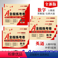 语文 一年级下 [正版]A+全程练考卷一二三四五六年级语文数学英语下册24年春人教PEP北师大苏教外研3起版 小学生同步