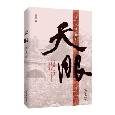 正版新书]天眼冉正万9787536076549