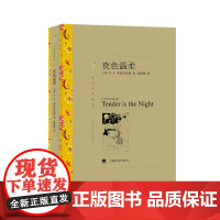 [正版]夜色温柔 译文名著精选 菲茨杰拉德著 汤新楣译 世界名著 外国文学小说书籍 外国名著经典读物 上海译文