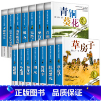[全14册]曹文轩全册小说 [正版]青铜葵花曹文轩原著完整版纯美小说系列 江苏少儿出版社四年级下册阅读的课外书必 8-1