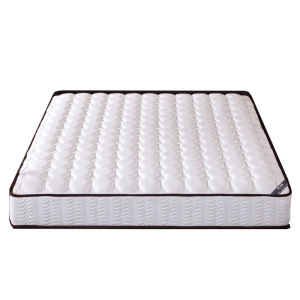 臻远ZY-ML-H09202 弹簧床垫 120*200*20cm(单位:张)白色