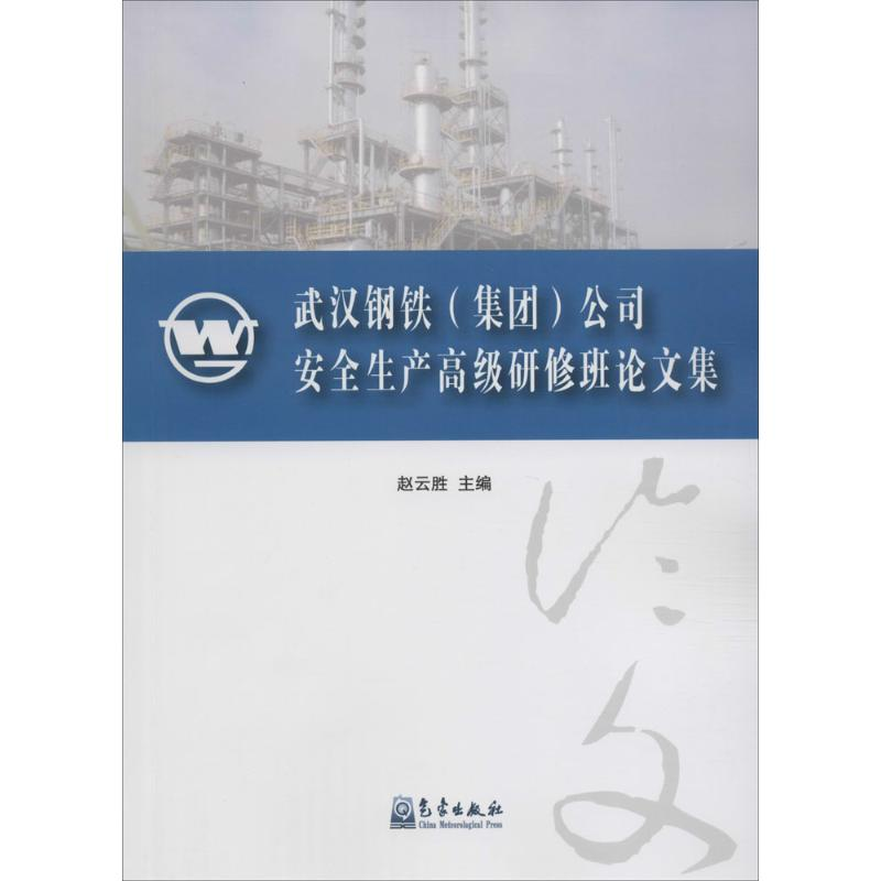 正版新书]武汉钢铁(集团)公司安全生产高级研修班论文集赵云胜97