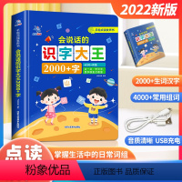 会说话的识字大王2000字 [正版]会说话的识字大王2000点读机语音识字卡3000幼儿园认字早教发声书