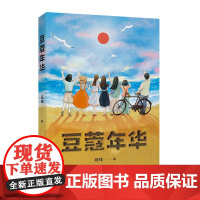 豆蔻年华 程玮江苏凤凰文艺出版社