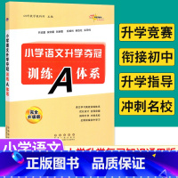 [正版]全国68所小学语文升学夺冠训练A体系 完全升级版小升初语文总复习资料小考语文专项训练升学夺冠知识大集结小升初实