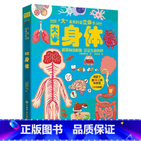 大系列科普立体书-大身体 [正版]大系列科普立体书 大森林儿童3D立体书翻翻书机关书趣味百科全书3-6岁幼儿小学课外儿童