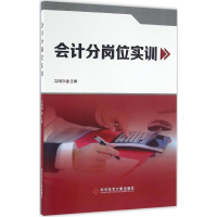 音像会计分岗位实训吴向阳 主编