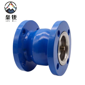 垒锐 止逆阀DN40 个