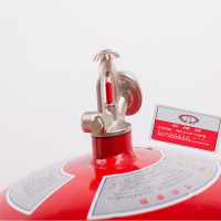 净瓶 悬挂式干粉灭火装置 FZX-ACT10/1.2型/套