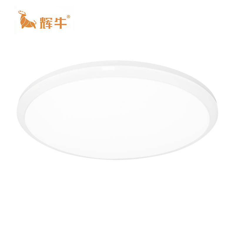 辉牛 LED吸顶灯 HN-D2 件