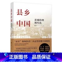 [正版]县乡中国 县域治理现代化 杨华 深入调研 下沉中国政府与经济发展 了解县官如何治县 深描中国政治的实际运行