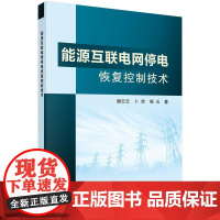 能源互联电网停电恢覆控制技术科学出版社