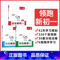 小升初专用[预备新初一]语文+数学+英语全3册 小学通用 [正版]2024小学知识大盘点语文数学英语基础知识大全四五六年
