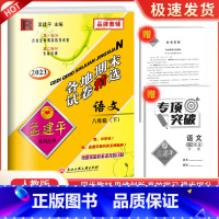 8下 语文 人教版 九年级/初中三年级 [正版]2023孟建平七八九年级上册下册语文数学英语科学人教版浙教版各地期末试卷