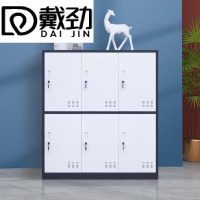 戴劲物柜多门更衣柜带锁工具柜教室学生书包柜多格子收纳柜 灰白六门