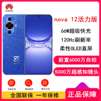 华为nova12 活力版 12号色 512GB 66W超级快充 120Hz刷新率 前置6000万超广角拍照 华为手机