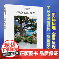 中国当代摄影图录:高岩精装 刘铮主编 观念摄影艺术家世界当代摄影大师成名作摄影高清作品集/新纪实摄影照片解析/摄影作品画