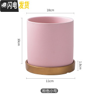 三维工匠陶瓷花盆哑光北欧黑白粉灰墨绿色圆柱形多肉盆绿萝鲜花盆栽带托盘 粉色小号10cm(配托盘) 中等花盆容器