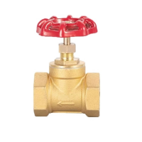 智铮朗月 铜截止阀 DN40 个