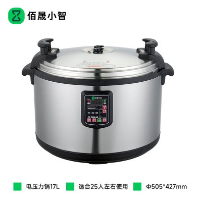 佰晟小智 电压力锅 NQ021 电压力锅17L